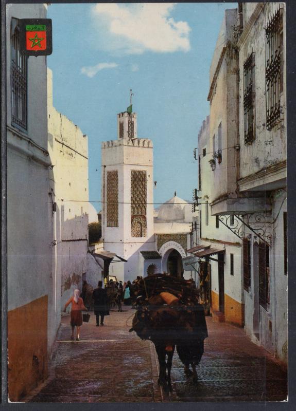 Mosque of Sidi Saidi,Tetuan,Morocco BIN