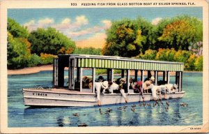 Vintage Florida Postcard - Silver Springs - Feeding fish from Glass Bottom Boat