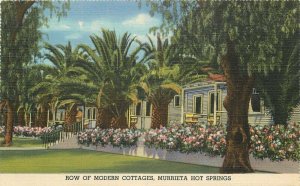 California Guenther's Murrietta Mineral Hot Springs Postcard Teich 11570