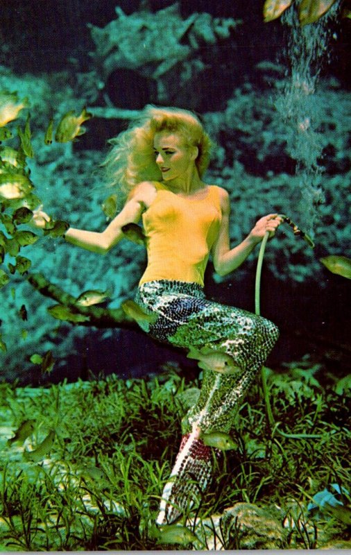 Florida Weeki Wachee Beautful Live Mermaid