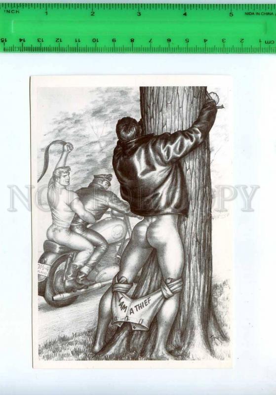 219202 Tom of FINLAND gay theme drawing motorcycle postcard