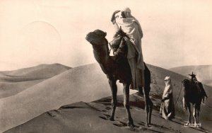 Vintage Postcard Desert Scenes Camel Transportation Casablanca, Morroco