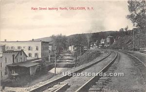 Main Street Looking North Callicoon NY 1915