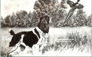 1940s Springer Spaniel Hunting Dog Nebraska Beauties Cook Co. Postcard