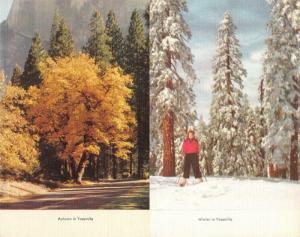 CA, California YOSEMITE NATIONAL PARK Winter~Skier & Autumn~Leaves TWO Postcards