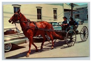 Vintage 1971 Postcard Amis in Horse & Buggy Pennsylvania Dutch Country