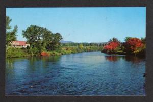 ME View Moose River JACKMAN MAINE  Postcard