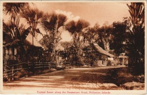 PC PHILIPPINES, ALONG THE PANGASINAN ROAD, Vintage Postcard (b42997)
