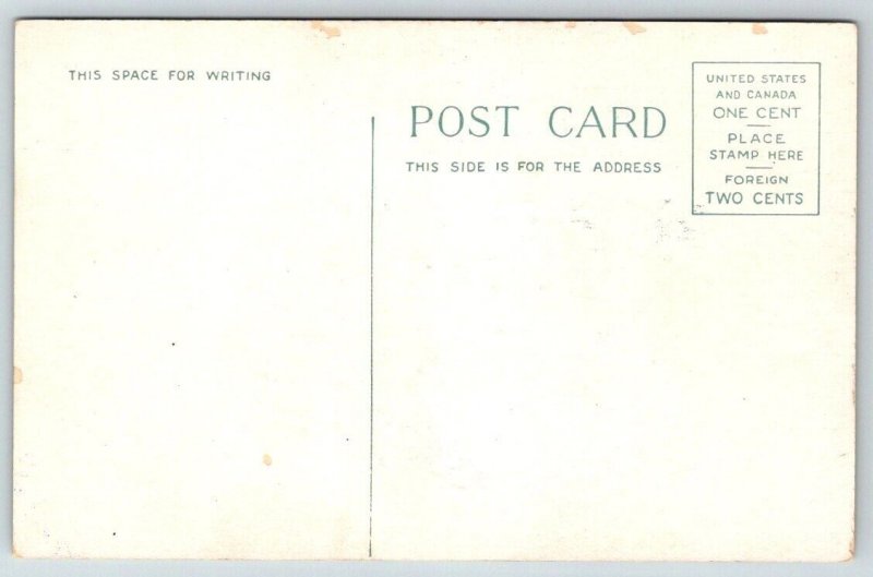 Provincetown Cape Cod Massachusetts Steamer Dorothy Bradford Postcard  c1915