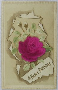 Dark Vibrant Rose Breaking Wall Wishing a Happy Birthday - Vintage Postcard