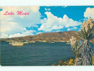 Pre-1980 LAKE SCENE Lake Mead - Near Las Vegas Nevada NV AE3845