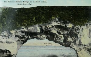 C.1910 Famous Natural Bridge on the Cliff Drive, Santa Cruz, Calif. Postcard P61