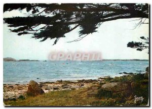 Postcard Modern Brittany Ile Grande C N The marina has left Island Milliau ri...