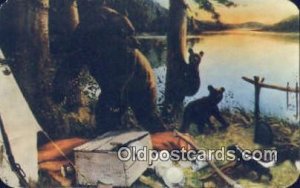 New York State, USA Bear Postcard