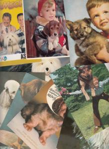 Dogs related postcards x 10 dog chien