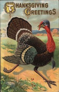 Thanksgiving Turkey on the Run c1910 Vintage Postcard