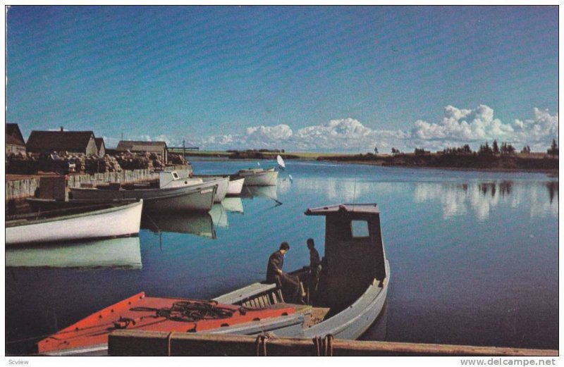 Malpeque Cove , P.E.I. , Canada , 50-60s