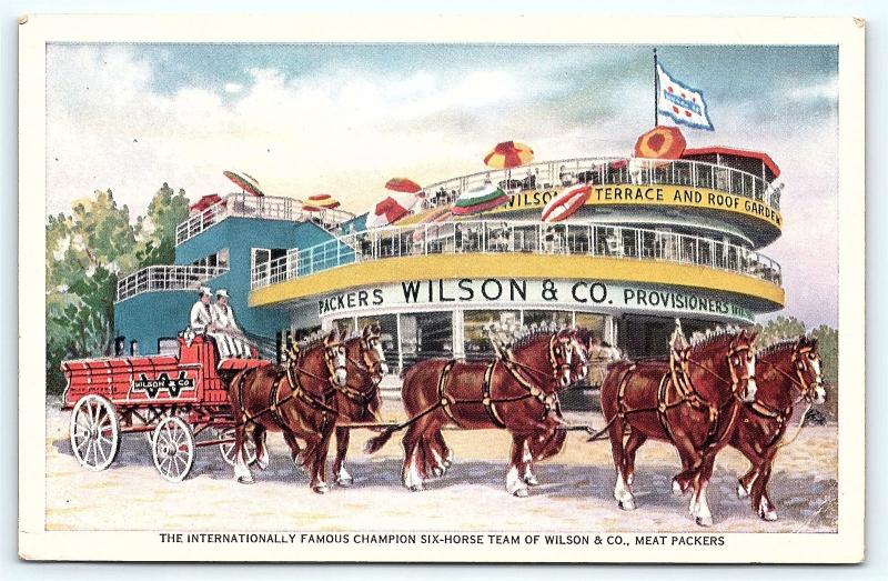 Postcard IL Six Horse Team Wilson Company Meat Packers Century of Progress E16