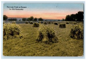 1917 Harvest Field at Sunset In Old Kentucky KY Posted Antique Postcard 