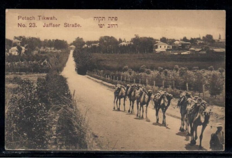Petach Tikwah - Palestine Israel Jewish Judaica postcard Publisher Shesha Halevi