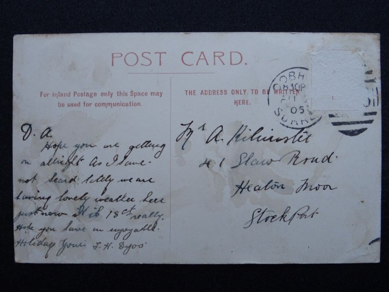 London Sutton WALLINGTON Manor Road c1905 Postcard