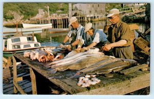 TERENCE BAY, Nova Scotia Canada ~ FISHERMEN Cleaning Catch c1960s Postcard