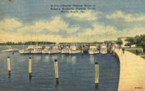 Charter Fishing Boats - Miami Beach, Florida FL Postcard