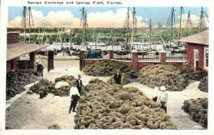 Sponge Industry - Tarpon Springs, Florida FL