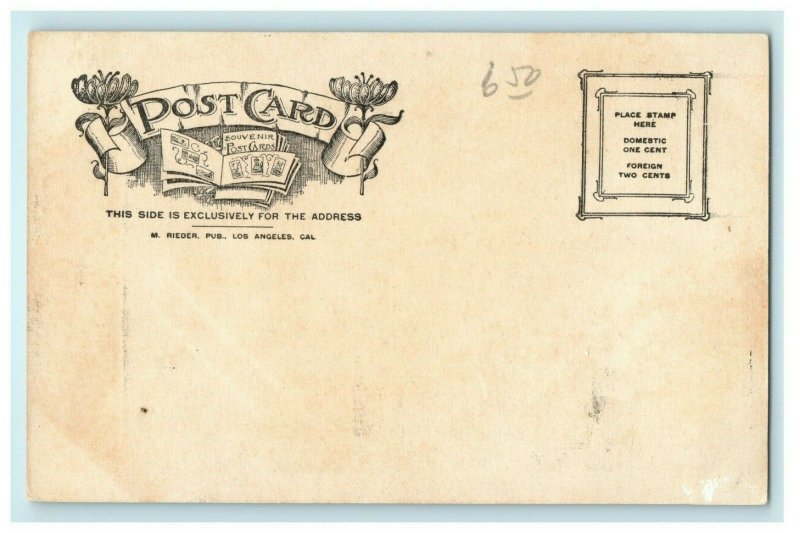 c1905 Esplande at Long Beach Toward Pier California CA Antique Postcard