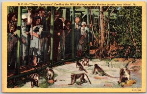 Caged Spectators Feeding Wild Monkeys Monkey Jungle Near Miami Florida Postcard