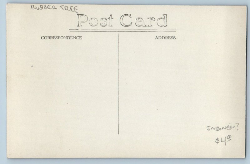 Indonesia Postcard Rubber Tree Being Cut Down c1910 Antique RPPC Photo