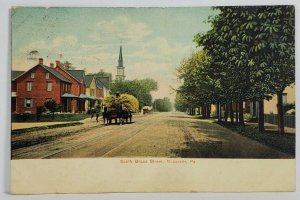 Nazareth Pennsylvania Scene on South Broad Street Hauling Hay 1908 Postcard T14