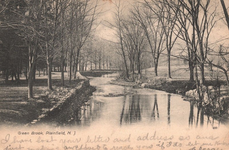 Vintage Postcard 1906 Green Brook River Trees Winter Plainfield New Jersey NJ