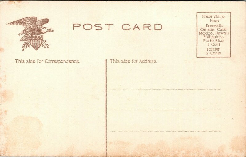 Vtg 1910s State Capitol Nashville Tennessee TN Unused Antique Postcard