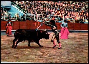 A Part of Darts,Bull Fight,Spain