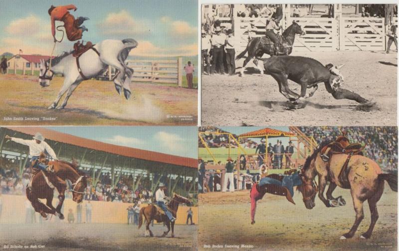 COWBOYS USA on Horses and Bulls Chevaux et Taureaux 28 CPA mostly pre-1950