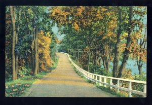 Sheffield, Massachusetts/MA/Mass Postcard, Country Road, 1952!