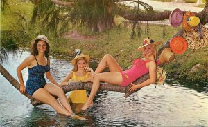 Amusement Weeki Wachee Springs Florida Sexy Mermiads Postcard 20-4335