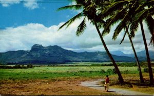 Hawaii Kauai Kapaa Mountain Formation The Sleeping Giant