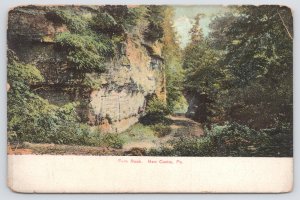 State View~Fern Rock @ New Castle Pennsylvania~Vintage Postcard
