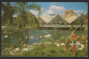 Florida TAMPA Hospitality House overlooking Lagoon at Busch Gardens ~ Chrome