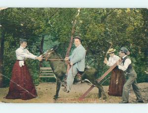 Bent Divided-Back PEOPLE TRY TO GET STUBBORN DONKEY MULE TO MOVE o7118