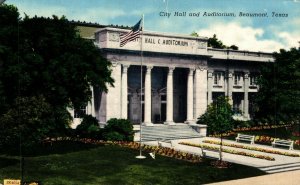 USA City Hall and Auditorium Beaumont Texas Chrome Postcard 08.54