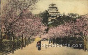 Himeji Castle near Kobe Nippon Yusen Kaisha Ship NYK Shipping Unused light ha...