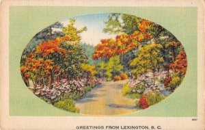 Lexington South Carolina Greetings Road Scenic Vintage Postcard JE359351