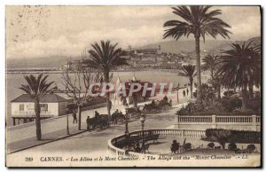 Old Postcard The Allees Cannes and Mont Chevalier