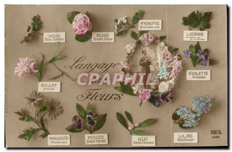 Old Postcard Fantasy Flowers language