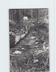 Postcard Trees People Stairs House Scenery Vintage Picture