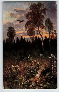 Hunting Season Postcard Flying Bird Clouds Trees Wildlife HKM 315 Germany 1906