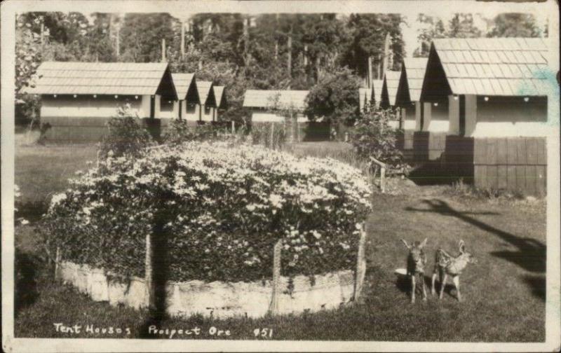 Prospect OR Tent Houses c1920 Real Photo Postcard